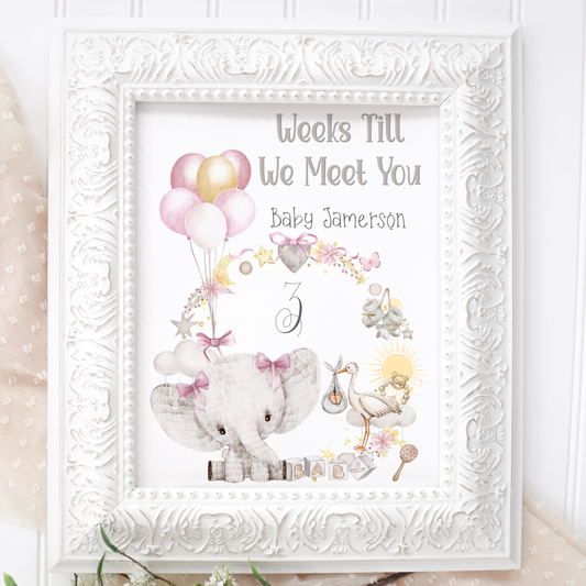 Baby Countdown Bundle Neutral, Blue And Pink