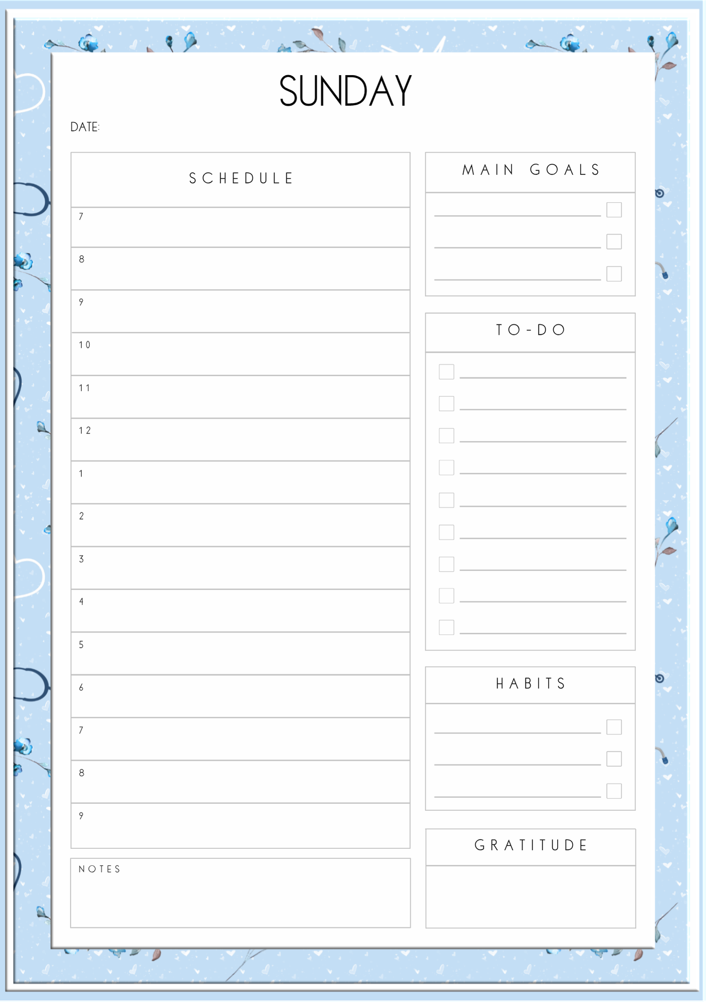 Student Nurse Journal