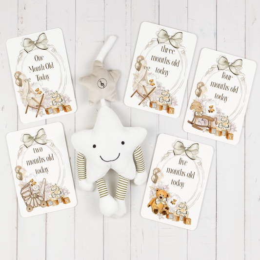 Baby Milestone Cards